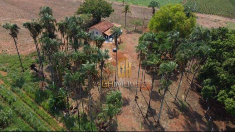 Imagem Chácara à Venda, 12.600 m² em Loteamento Jardim Santa Paula - Petrolina De Goiás Imagem Chácara à Venda, 12.600 m² em Loteamento Jardim Santa Paula - Petrolina De Goiás