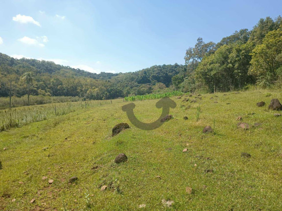 Imagem Chácara à Venda, 110 m² em Linha Travessa - Santa Cruz Do Sul Imagem Chácara à Venda, 110 m² em Linha Travessa - Santa Cruz Do Sul