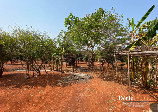 Imagem Chácara com 3 Quartos à Venda, 80 m² em Nova Esperança - Montes Claros