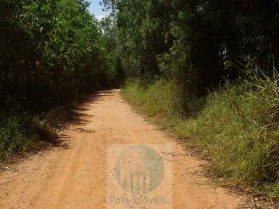 Imagem Imóvel com 3 Quartos à Venda, 220.000 m² em Zona Rural - Jacui