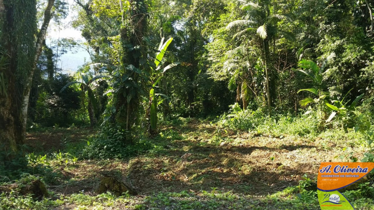 Imagem Terreno à Venda, 56.000 m² em Ubatumirim - Ubatuba Imagem Terreno à Venda, 56.000 m² em Ubatumirim - Ubatuba
