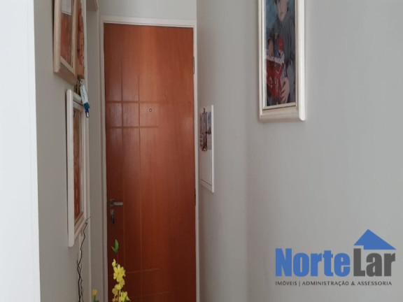 Imagem Apartamento com 2 Quartos à Venda, 50 m² em Vila Amélia - São Paulo Imagem Apartamento com 2 Quartos à Venda, 50 m² em Vila Amélia - São Paulo