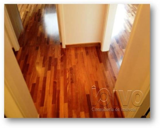 Imagem Apartamento com 3 Quartos à Venda, 80 m² em Vila Clementino - São Paulo Imagem Apartamento com 3 Quartos à Venda, 80 m² em Vila Clementino - São Paulo