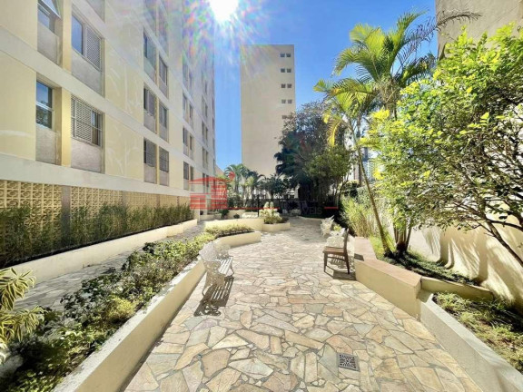 Imagem Apartamento com 3 Quartos à Venda, 84 m² em Vila Romana - São Paulo Imagem Apartamento com 3 Quartos à Venda, 84 m² em Vila Romana - São Paulo
