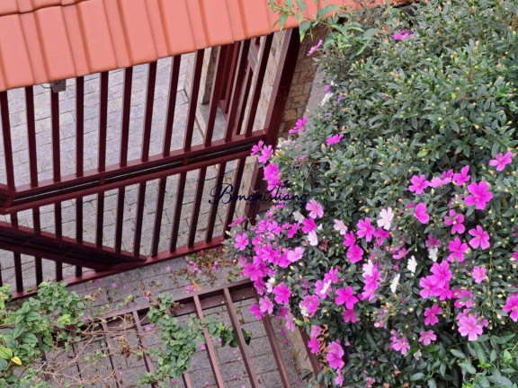 Imagem Sobrado com 3 Quartos à Venda, 150 m² em Jardim São Paulo(zona Norte) - Sao Paulo