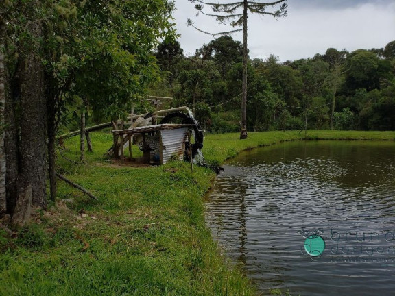 Imagem Imóvel com 3 Quartos à Venda, 350.000 m² em Zona Rural - Bom Retiro Imagem Imóvel com 3 Quartos à Venda, 350.000 m² em Zona Rural - Bom Retiro