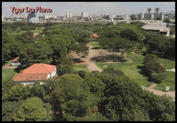 Imagem Apartamento com 2 Quartos à Venda, 40 m² em Vila Guilherme - São Paulo