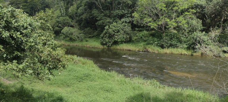 Imagem Chácara com 1 Quarto à Venda, 100 m² em Catuçaba - São Luíz Do Paraitinga Imagem Chácara com 1 Quarto à Venda, 100 m² em Catuçaba - São Luíz Do Paraitinga