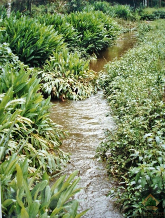 Terreno à Venda, 4.695 m² em Campos De Cunha - Cunha