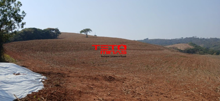 Imagem Imóvel com 4 Quartos à Venda,  em Zona Rural - Conceição Do Rio Verde