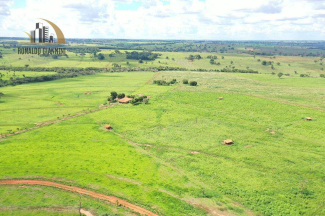 Imagem Fazenda à Venda, 18.150.000 m² em Jardim Monterey - Jales