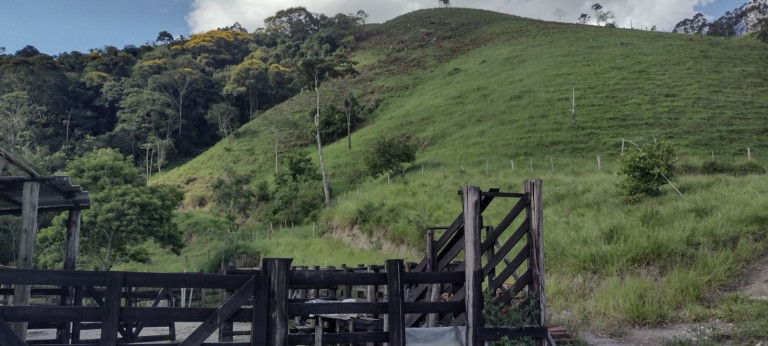 Imagem Chácara com 2 Quartos à Venda, 100 m² em Centro - Natividade Da Serra Imagem Chácara com 2 Quartos à Venda, 100 m² em Centro - Natividade Da Serra