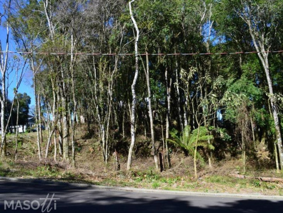 Imagem Terreno à Venda, 800 m² em Floresta - Gramado Imagem Terreno à Venda, 800 m² em Floresta - Gramado