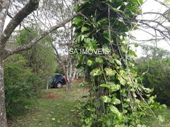 Imagem Imóvel com 2 Quartos à Venda,  em Zona Rural - Batatais