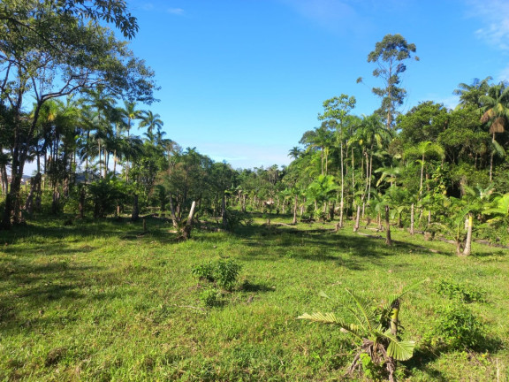 Imagem Terreno à Venda, 9.000 m² em Vila Nova - Joinville