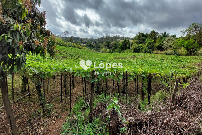 Imagem Imóvel com 1 Quarto à Venda, 43.000 m² em Parque Eldorado - Campinas Imagem Imóvel com 1 Quarto à Venda, 43.000 m² em Parque Eldorado - Campinas