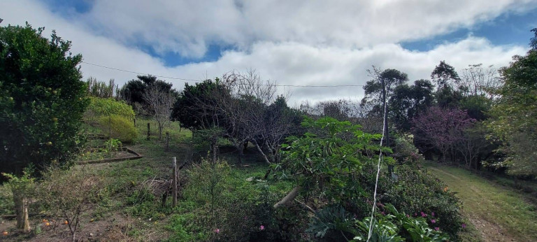 Imagem Chácara com 2 Quartos à Venda, 1 m² em Bateias - Campo Largo
