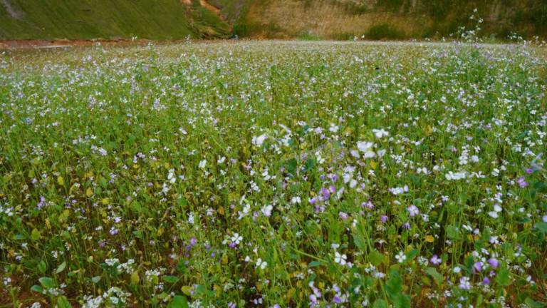 Imagem Imóvel à Venda, 111 m² em Várzea Do Ranchinho - Camboriú Imagem Imóvel à Venda, 111 m² em Várzea Do Ranchinho - Camboriú