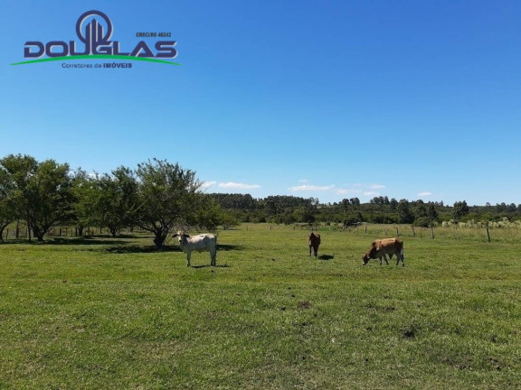 Imagem Chácara à Venda,  em águas Claras - Viamão