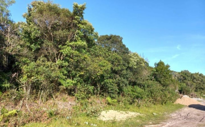 Imagem Terreno à Venda, 280 m² em Jardim Maramba Ii - Itanhaém