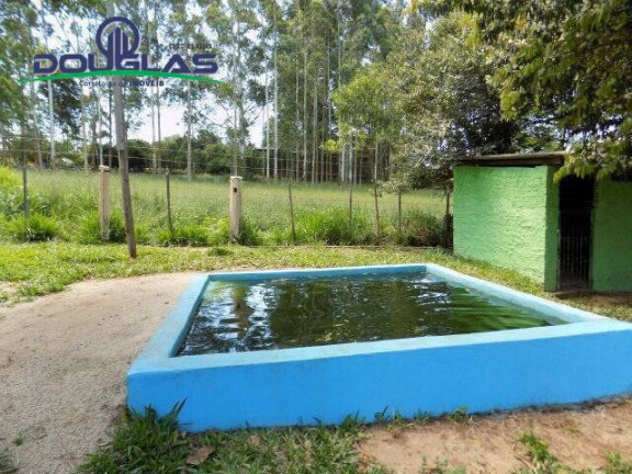 Imagem Chácara com 2 Quartos à Venda, 5.000 m² em Viamão