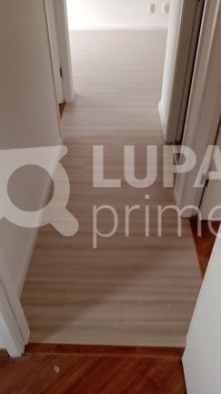 Imagem Apartamento com 3 Quartos à Venda, 57 m² em Limão - São Paulo Imagem Apartamento com 3 Quartos à Venda, 57 m² em Limão - São Paulo