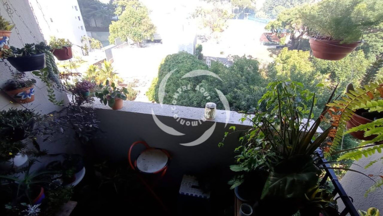 Apartamento com 3 Quartos à Venda, 79 m² em Vila Firmiano Pinto - São Paulo