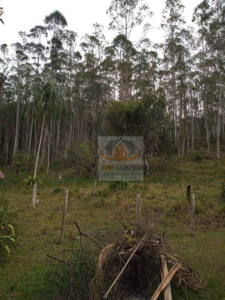 Imagem Fazenda à Venda, 72.000 m² em Padre André - Jacupiranga Imagem Fazenda à Venda, 72.000 m² em Padre André - Jacupiranga