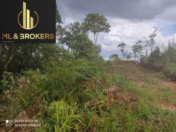 Imagem Imóvel à Venda, 20.000 m² em Sao Silvestre - Campo Largo Imagem Imóvel à Venda, 20.000 m² em Sao Silvestre - Campo Largo