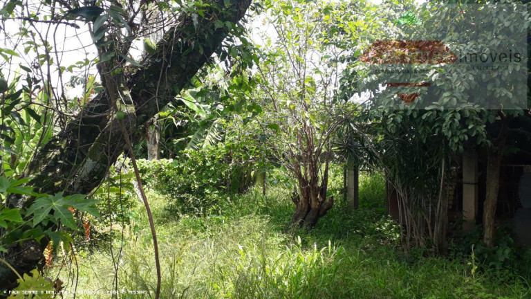 Imagem Casa com 5 Quartos à Venda, 300 m² em Jardim Das Nações - Taubaté Imagem Casa com 5 Quartos à Venda, 300 m² em Jardim Das Nações - Taubaté