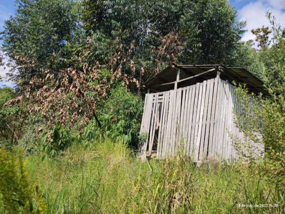 Imagem Imóvel com 3 Quartos à Venda, 160.000 m² em Centro - Atibaia Imagem Imóvel com 3 Quartos à Venda, 160.000 m² em Centro - Atibaia