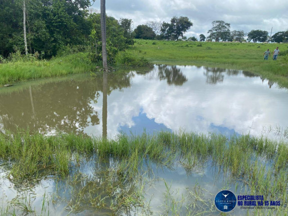 Imagem Fazenda à Venda, 30 m² em Zona Rural - Jussara Imagem Fazenda à Venda, 30 m² em Zona Rural - Jussara