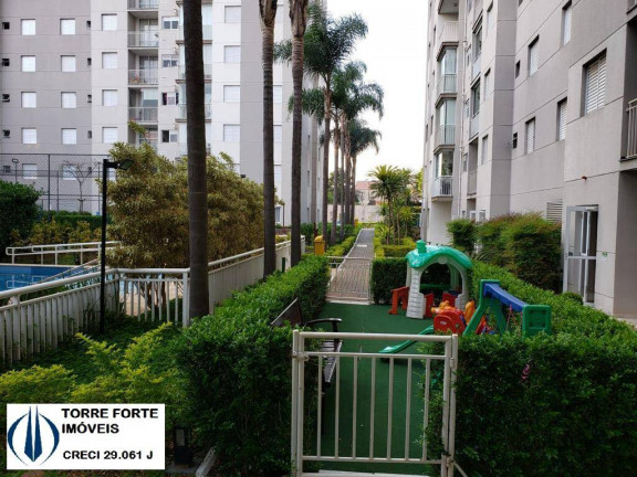 Imagem Apartamento com 2 Quartos à Venda, 51 m² em Vila Antonieta - São Paulo Imagem Apartamento com 2 Quartos à Venda, 51 m² em Vila Antonieta - São Paulo
