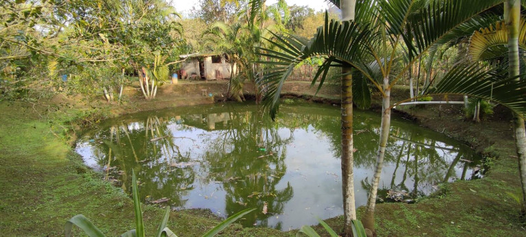 Imagem Chácara com 3 Quartos à Venda, 2.840 m² em Ana Dias - Itariri Imagem Chácara com 3 Quartos à Venda, 2.840 m² em Ana Dias - Itariri