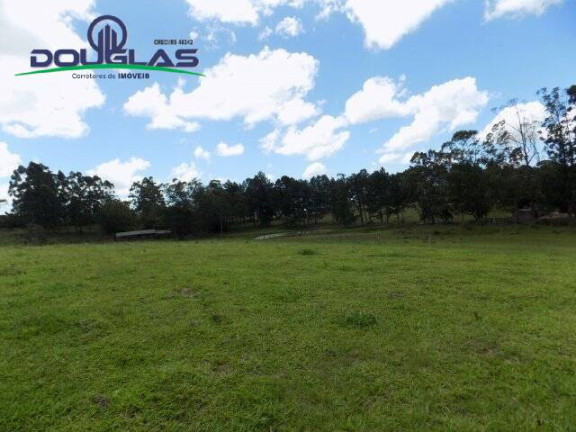 Imagem Chácara com 2 Quartos à Venda, 190.000 m² em Viamão