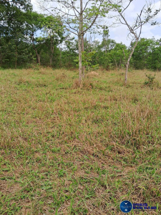 Imagem Chácara à Venda, 7 m² em Zona Rural - Caldas Novas Imagem Chácara à Venda, 7 m² em Zona Rural - Caldas Novas