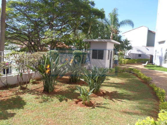 Imagem Apartamento com 3 Quartos à Venda, 87 m² em Jardim Da Saude - Sao Paulo Imagem Apartamento com 3 Quartos à Venda, 87 m² em Jardim Da Saude - Sao Paulo