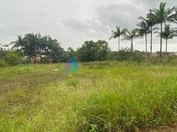 Imagem Terreno à Venda, 2 m² em Corticeira - Guaramirim Imagem Terreno à Venda, 2 m² em Corticeira - Guaramirim