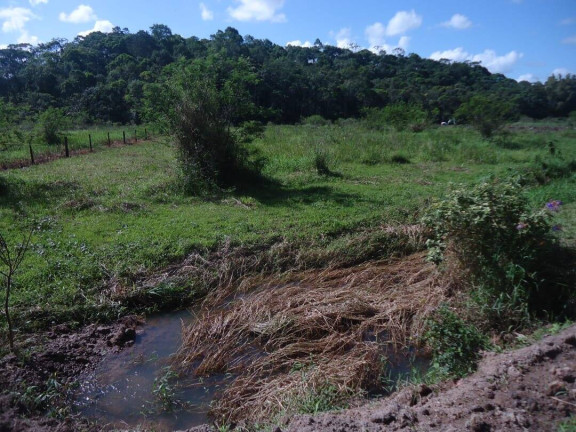Imagem Chácara com 4 Quartos à Venda, 20 m² em Barra Velha Imagem Chácara com 4 Quartos à Venda, 20 m² em Barra Velha