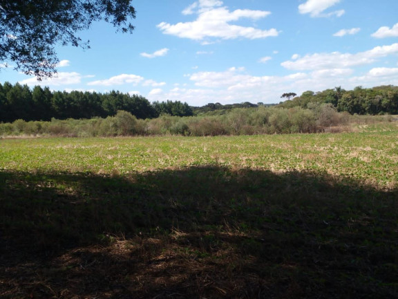 Imagem Terreno à Venda, 20.000 m² em Campo Largo Da Roseira - São José Dos Pinhais Imagem Terreno à Venda, 20.000 m² em Campo Largo Da Roseira - São José Dos Pinhais