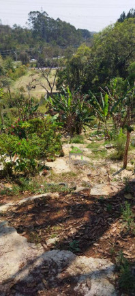 Imagem Casa com 4 Quartos à Venda, 1 m² em Parque Das Rosas - Cotia Imagem Casa com 4 Quartos à Venda, 1 m² em Parque Das Rosas - Cotia