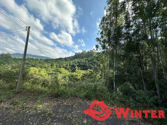 Imagem Terreno à Venda, 2.162 m² em Linha Neis - São Vendelino Imagem Terreno à Venda, 2.162 m² em Linha Neis - São Vendelino