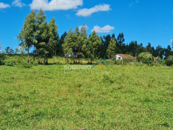Imagem Imóvel com 2 Quartos à Venda, 2.516.800 m² em Banqueiros - Araruama Imagem Imóvel com 2 Quartos à Venda, 2.516.800 m² em Banqueiros - Araruama