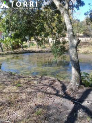 Imagem Imóvel com 4 Quartos à Venda, 200 m² em Centro - Piedade Imagem Imóvel com 4 Quartos à Venda, 200 m² em Centro - Piedade