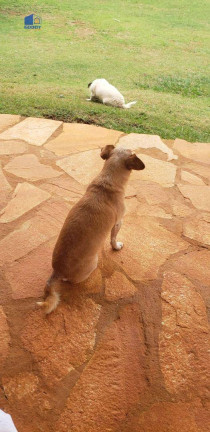 Imagem Chácara com 2 Quartos à Venda, 300 m² em Zona Rural - Chapada Dos Guimarães Imagem Chácara com 2 Quartos à Venda, 300 m² em Zona Rural - Chapada Dos Guimarães
