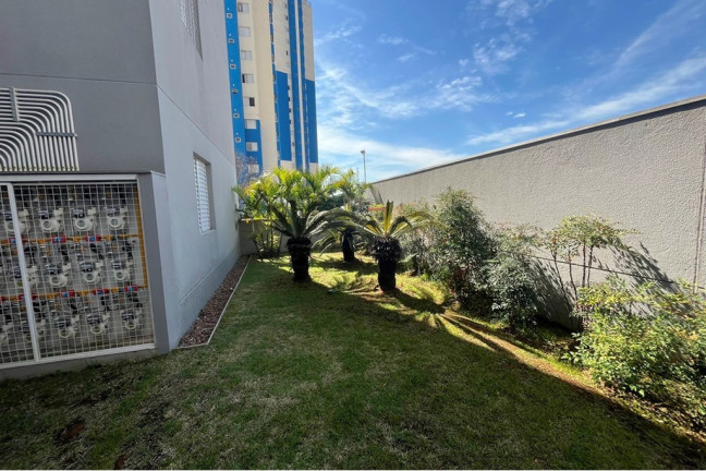 Imagem Apartamento com 3 Quartos à Venda, 60 m² em Vila Bela - São Paulo Imagem Apartamento com 3 Quartos à Venda, 60 m² em Vila Bela - São Paulo