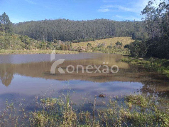 Imagem Fazenda à Venda, 100 m² em Turvo - São José Dos Campos Imagem Fazenda à Venda, 100 m² em Turvo - São José Dos Campos