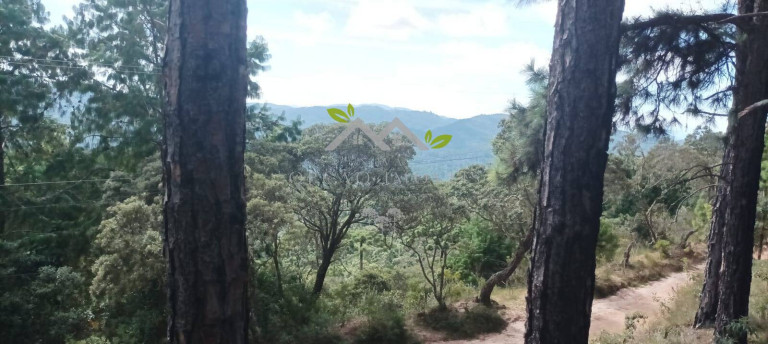Imagem Terreno à Venda, 5 m² em Cidade Do Sol Ii - Campos Do Jordão Imagem Terreno à Venda, 5 m² em Cidade Do Sol Ii - Campos Do Jordão