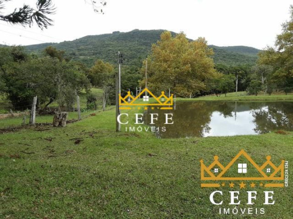 Imagem Sala Comercial à Venda, 20 m² em Boa Vista - São Francisco De Paula