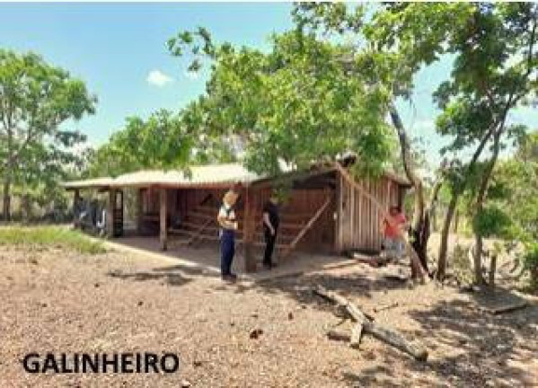 Imagem Fazenda à Venda, 1.357 m² em Jangada Imagem Fazenda à Venda, 1.357 m² em Jangada